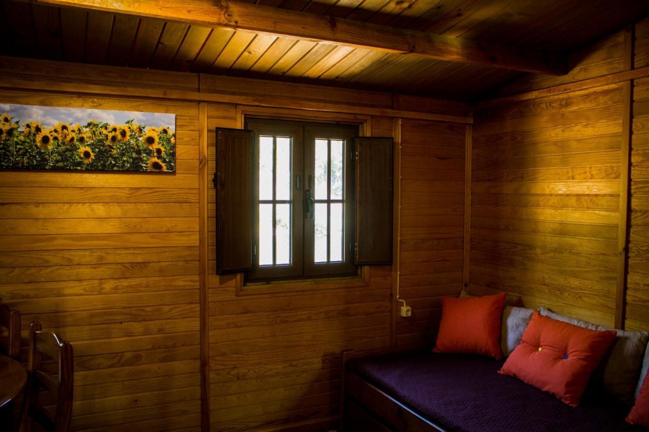 Janeiro de Baixo Xisto Camping מראה חיצוני תמונה