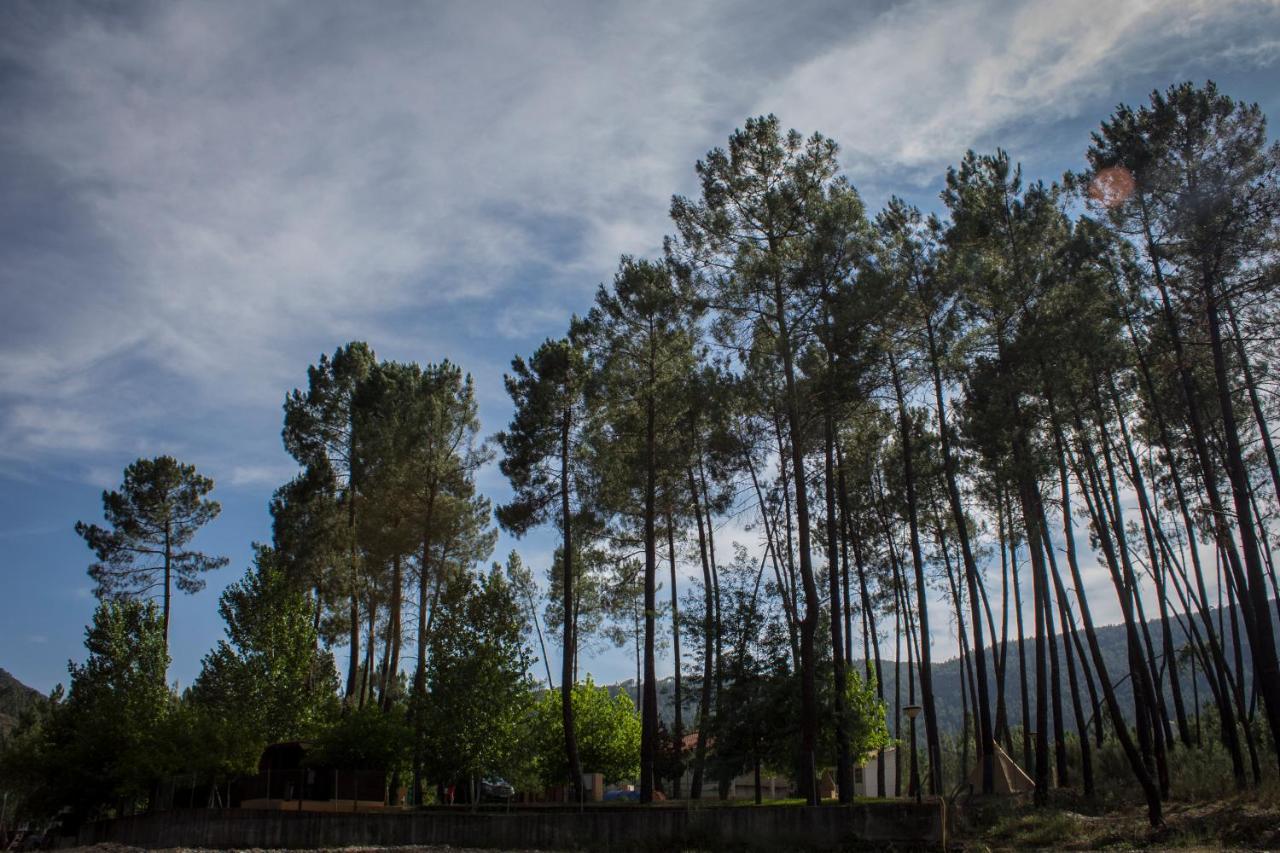 Janeiro de Baixo Xisto Camping מראה חיצוני תמונה